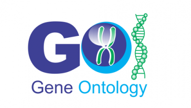 هستی شناسی ژن یا Gene Ontology چیست؟