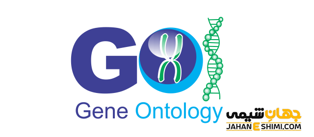 هستی شناسی ژن یا Gene Ontology چیست؟