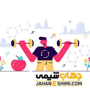 در افزایش سوخت وساز بدن نقش دارد
