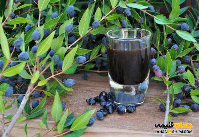 روش استفاده گیاه مورد به چه صورت است؟