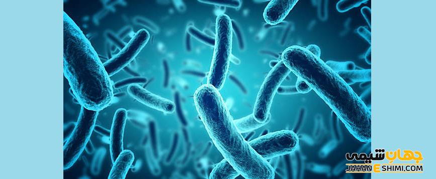 باکتری ای کولای (E. coli) چیست: روش های تشخیص و درمان آن کدام است؟