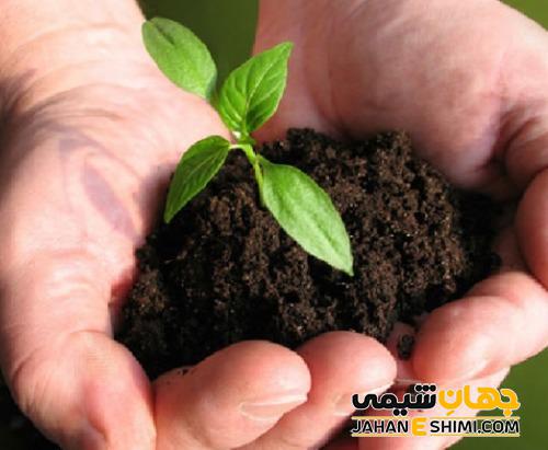 کود زیستی یا بیولوژیک چیست؟ فواید آن ها را بدانید