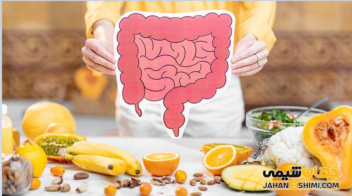 پری بیوتیک، پروبیوتیک و پست بیوتیک چه هستند و تفاوت آنها چیست؟