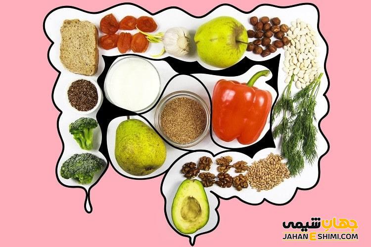 پری بیوتیک، پروبیوتیک و پست بیوتیک چه هستند و تفاوت آنها چیست؟