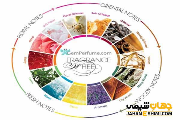 انواع نت های بویایی عطر - معرفی و بررسی آن ها