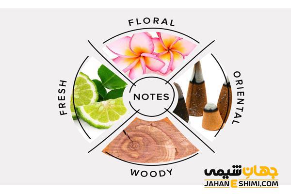 انواع نت های بویایی عطر - معرفی و بررسی آن ها