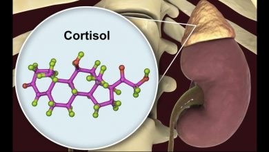 هرآنچه باید درباره وظایف هورمون کورتیزول بدانید