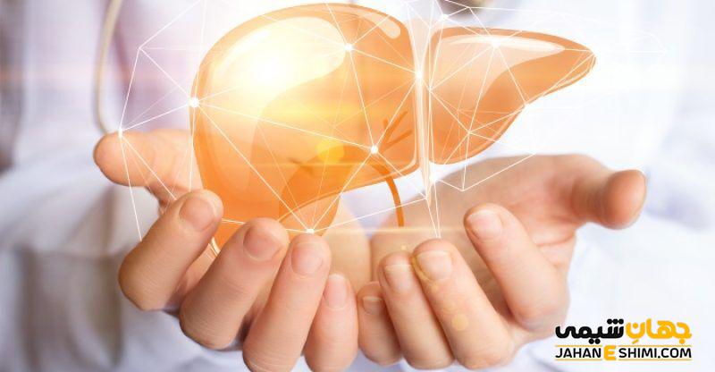 متابولیسم کبدی چیست؟ مراحل متابولیسم دارو در کبد