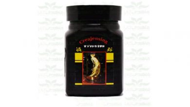 پودر چاقی جینسینگ چیست و قیمت خرید آن چقدر است؟