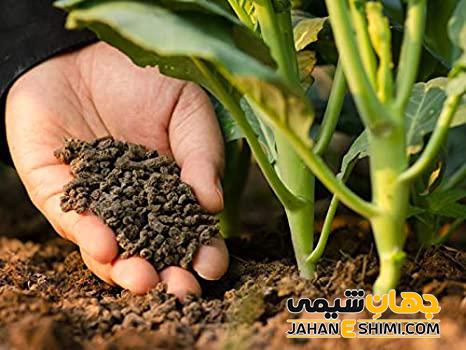 کود زیستی یا بیولوژیک چیست؟ فواید آن ها را بدانید