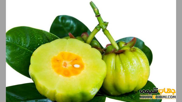 گارسینیا کامبوجیا چیست و از چه خواص دارویی برخوردار است؟