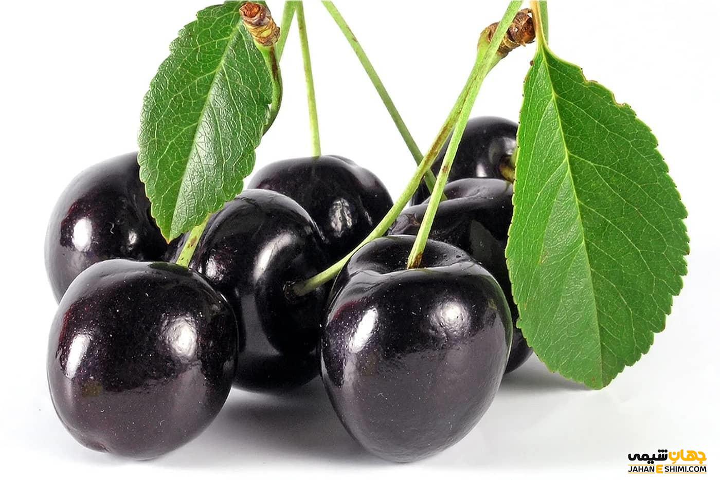 دم گیلاس از چه خواص درمانی برخوردار است؟