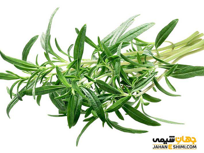 به هضم آسان کمک می کند