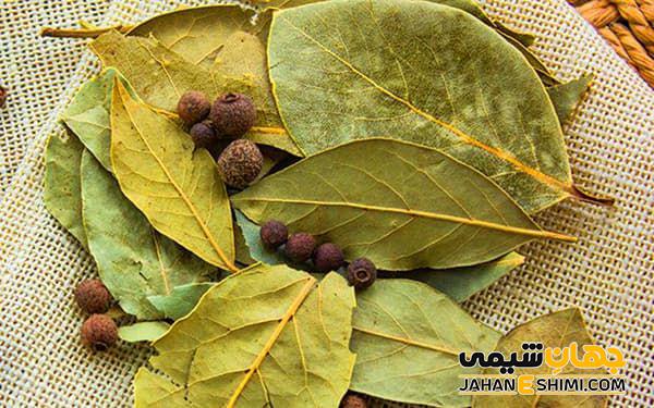 تاریخچه حضور و استفاده گیاه برگ بو در ایران