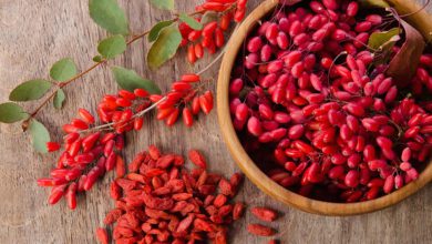 خواص گوجی بری برای لاغری به همراه قیمت و طریقه مصرف