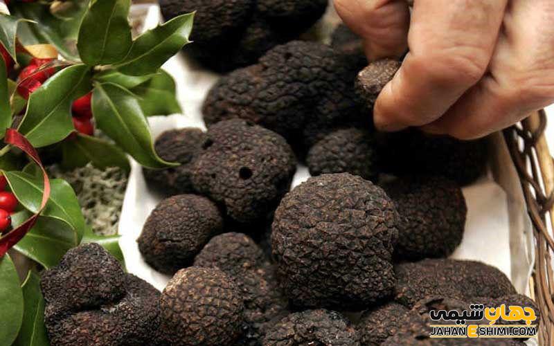 عوارض جانبی مصرف قارچ ترافل