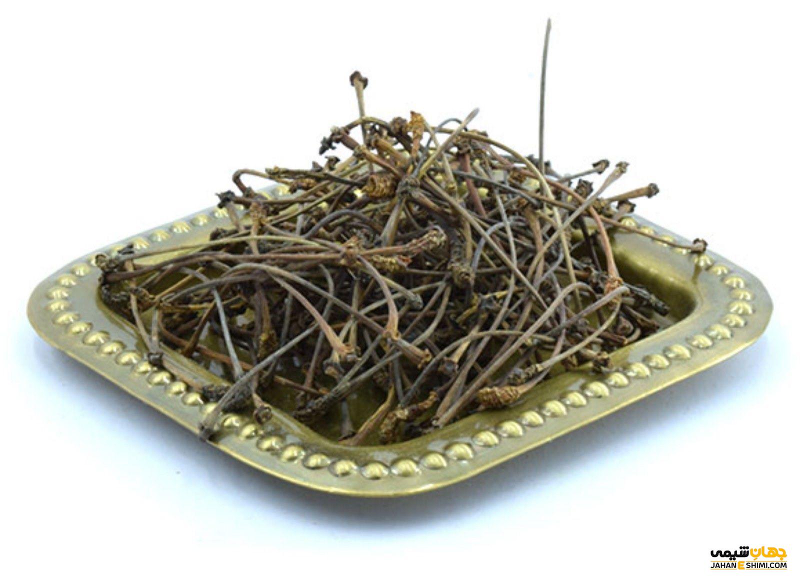 قیمت خرید و فروش دم گیلاس چگونه است؟