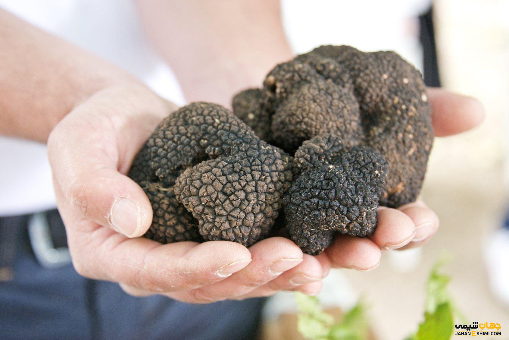 قیمت خرید و فروش روغن ترافل چگونه است