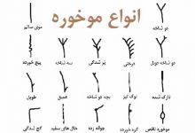 موخوره چیست و چگونه می توان با آن مقابله کرد؟