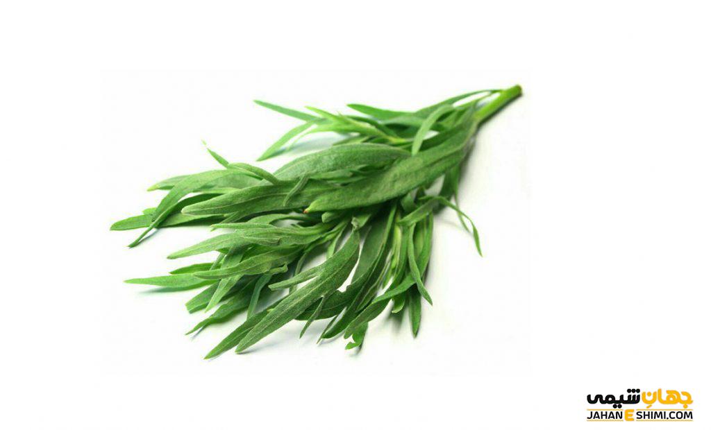 تاثیر شگفت انگیز روغن ترخون برای سلامتی
