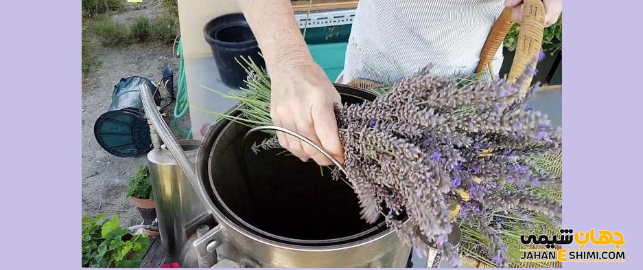 عرق اسطخدوس چه خواصی دارد؟
