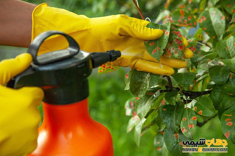 کود تراپیست کمپلکس چیست و روش استفاده از آن چگونه است؟