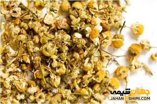 گیاه دارویی اسپرک چیست؟ خواص و کاربرد آن چیست؟