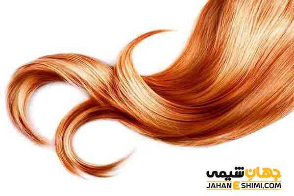 گیاه دارویی اسپرک چیست؟ خواص و کاربرد آن چیست؟
