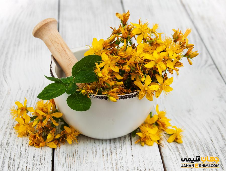 علف چای چیست؟فواید و موارد مصرف