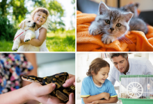 بهترین حیوانات خانگی برای کودکان در سنین مختلف