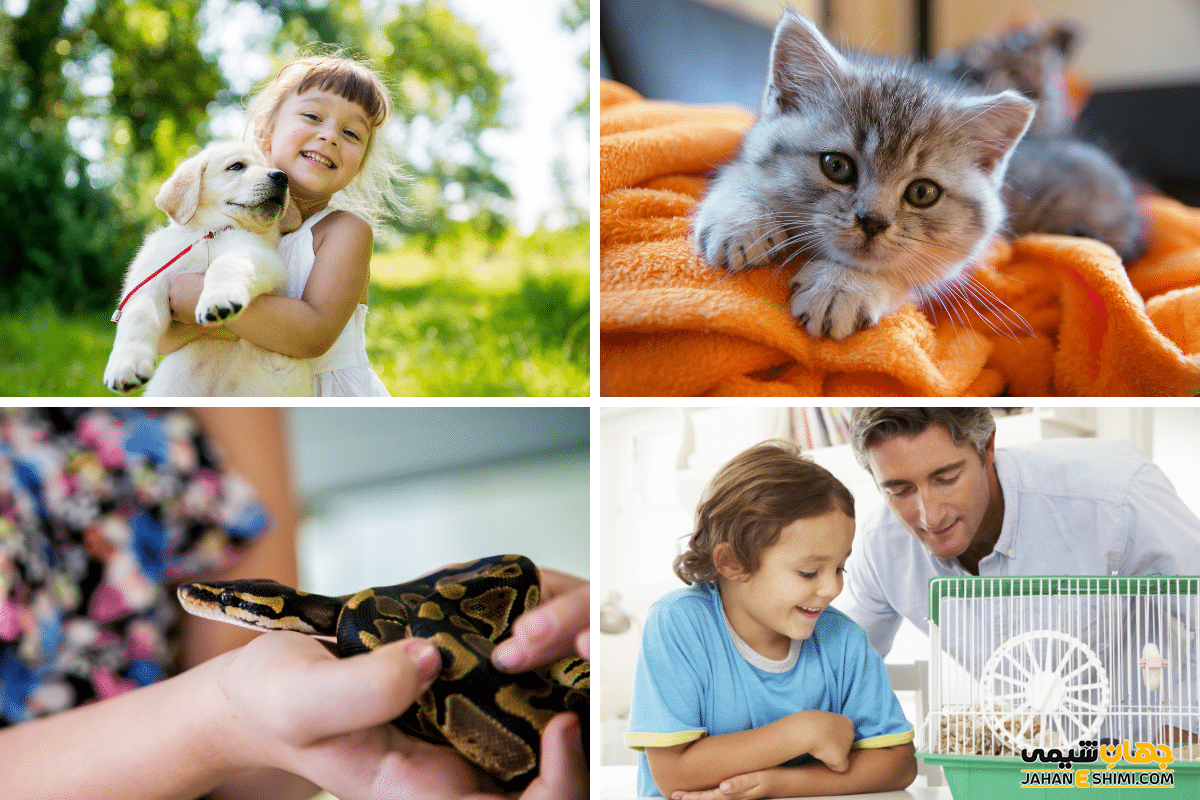 بهترین حیوانات خانگی برای کودکان در سنین مختلف