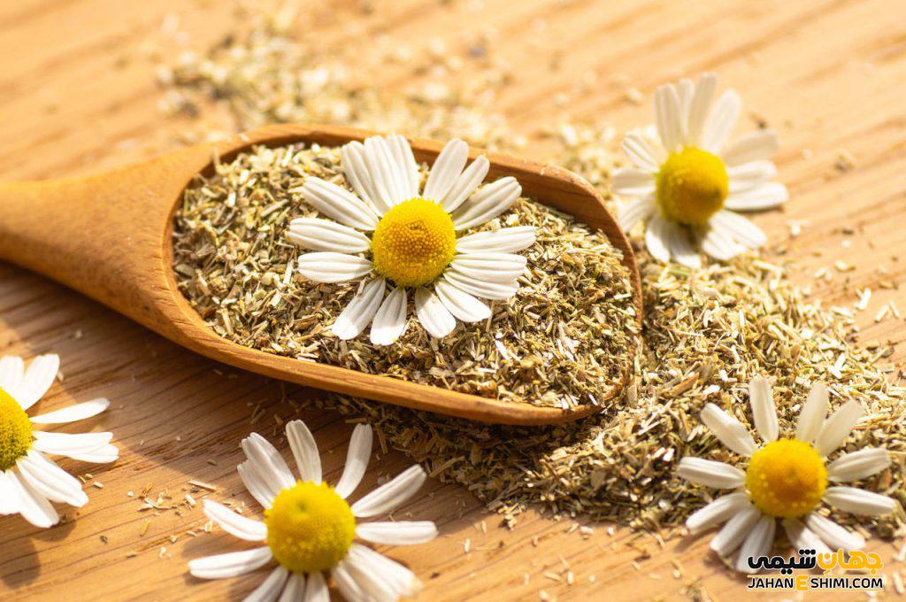 بابونه شیرازی چیست؟ فواید و عوارض آن