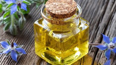 از خواص درمانی روغن بوراگ Borage Oil چه می دانیم؟
