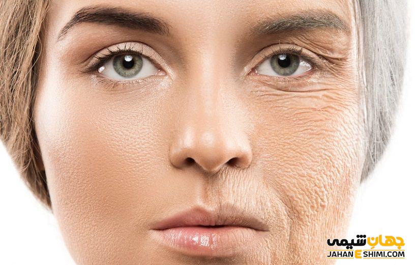از پیری زودرس جلوگیری می کند