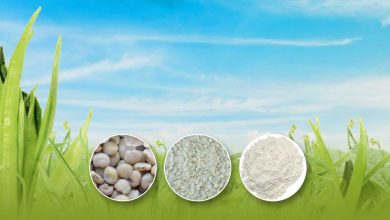 اهمیت و نقش گوارگام در صنایع کاغذ چیست؟