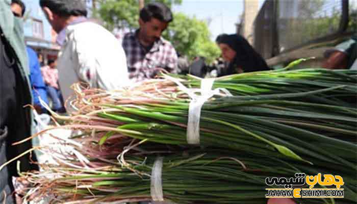 خواص گیاه بنصور چیست و چه فواید و معایبی برای بدن دارد؟