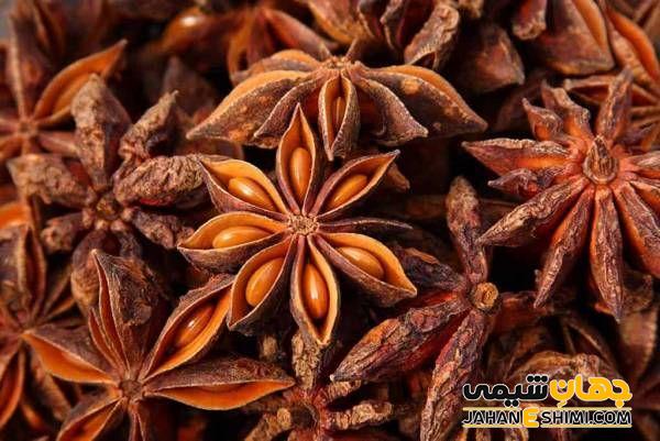به بهبود سیستم متابولیسم بدن کمک می کند