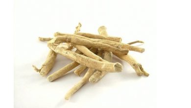 آیا میدانید گیاه بوزیدان در کاهش استرس و اضطراب نقش مهمی دارد؟