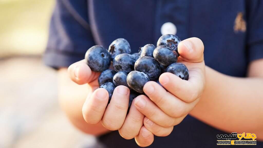 خواص بلوبری برای لاغری