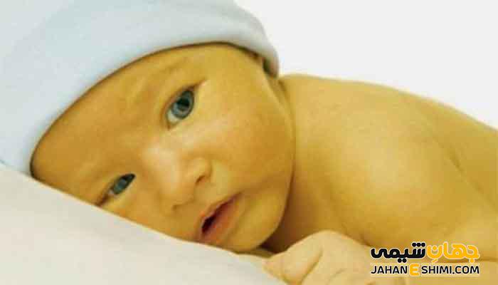 10 خاصیت معجزه گر دمنوش بیرخشت که نمی توان از آن گذشت؟!
