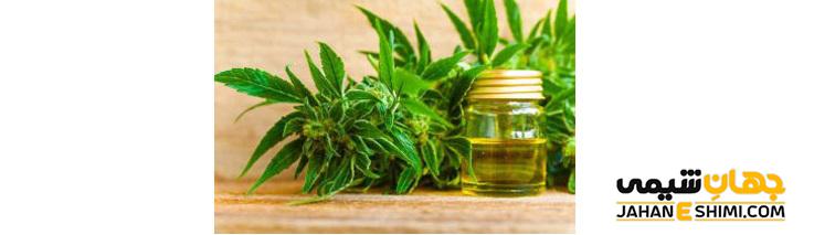 درباره خواص روغن مرزه بیشتر بدانید