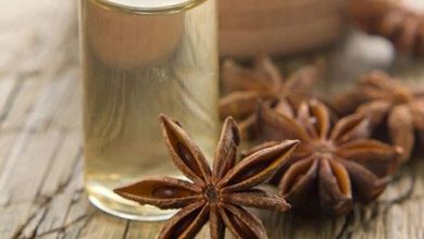 روغن آنیس Anise Oil از چه خواص درمانی برخوردار است؟