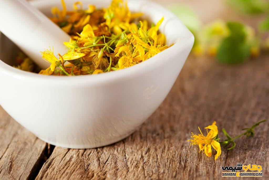 علف چای فواید و موارد مصرف آن