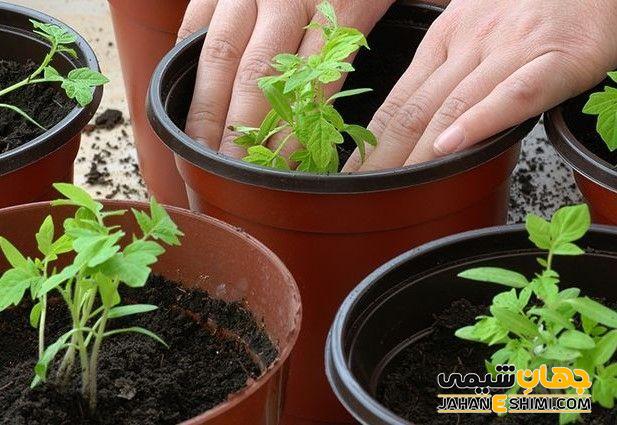 عوامل بیماری زا موجود در آن
