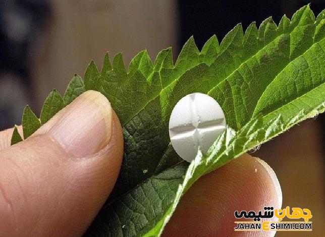فلاونوئیدها چیست؟فواید آن ها برای بدن