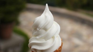 نقش گوارگام در تولید بستنی چیست و چه مزایایی دارد؟