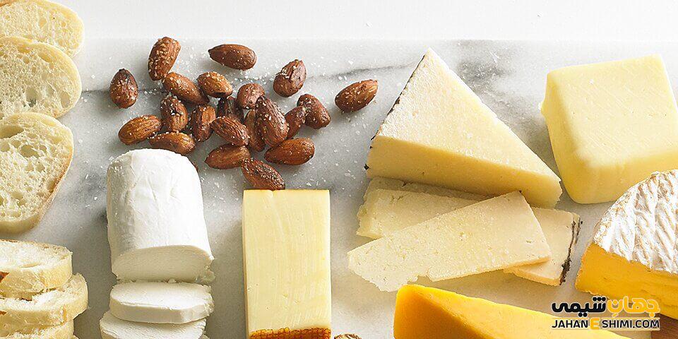 نقش گوارگام در تولید پنیر چیست؟