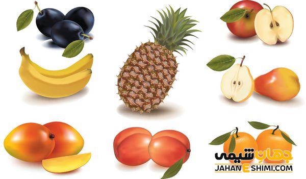 ویژگی های میوه های گیاهان گلدار یا نهاندانگان
