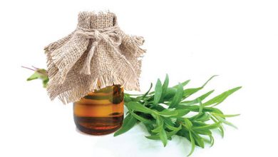 درباره خواص روغن مرزه بیشتر بدانید