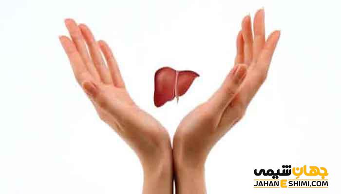 خواص گیاه بنصور چیست و چه فواید و معایبی برای بدن دارد؟